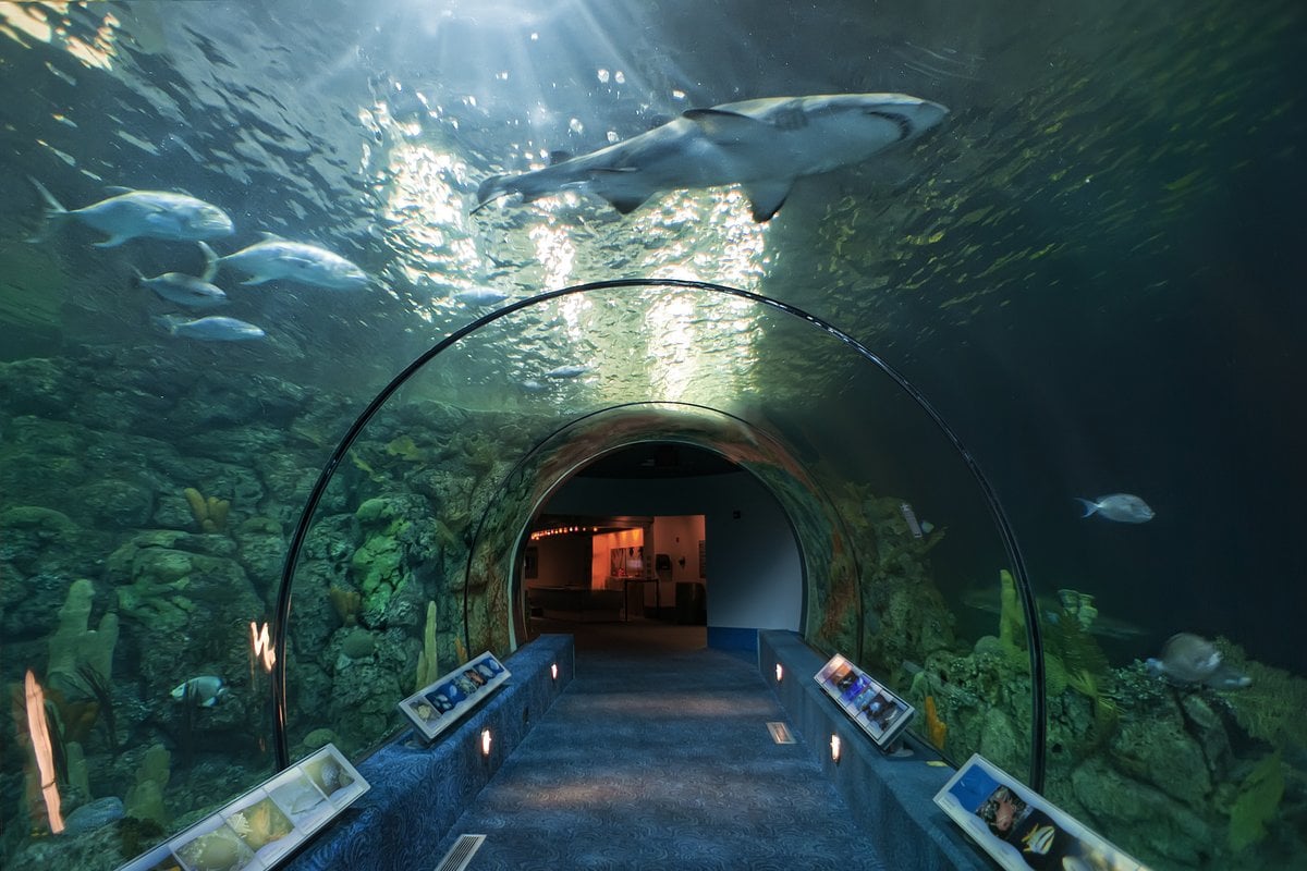 Moody Gardens - Gallery Image 3